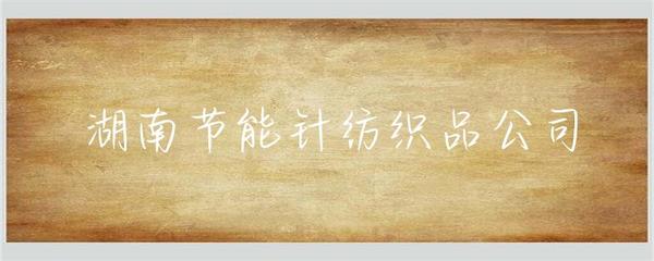 湖南節能針紡織品公司的創新實踐與前景展望